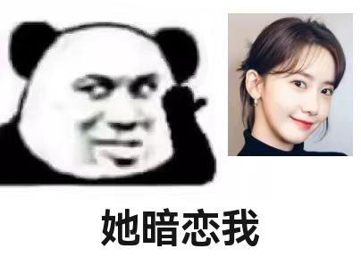熊猫头：这个人(人照片或收款码)