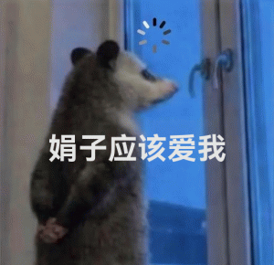 负鼠：深度思考