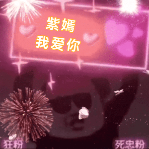 烟花闪光灯举牌(VIP)表情包