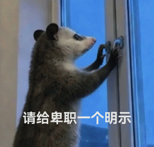 负鼠：爬窗、请求